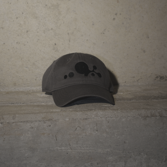 LARME GRAY CAP