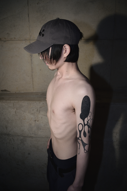 LARME GRAY CAP